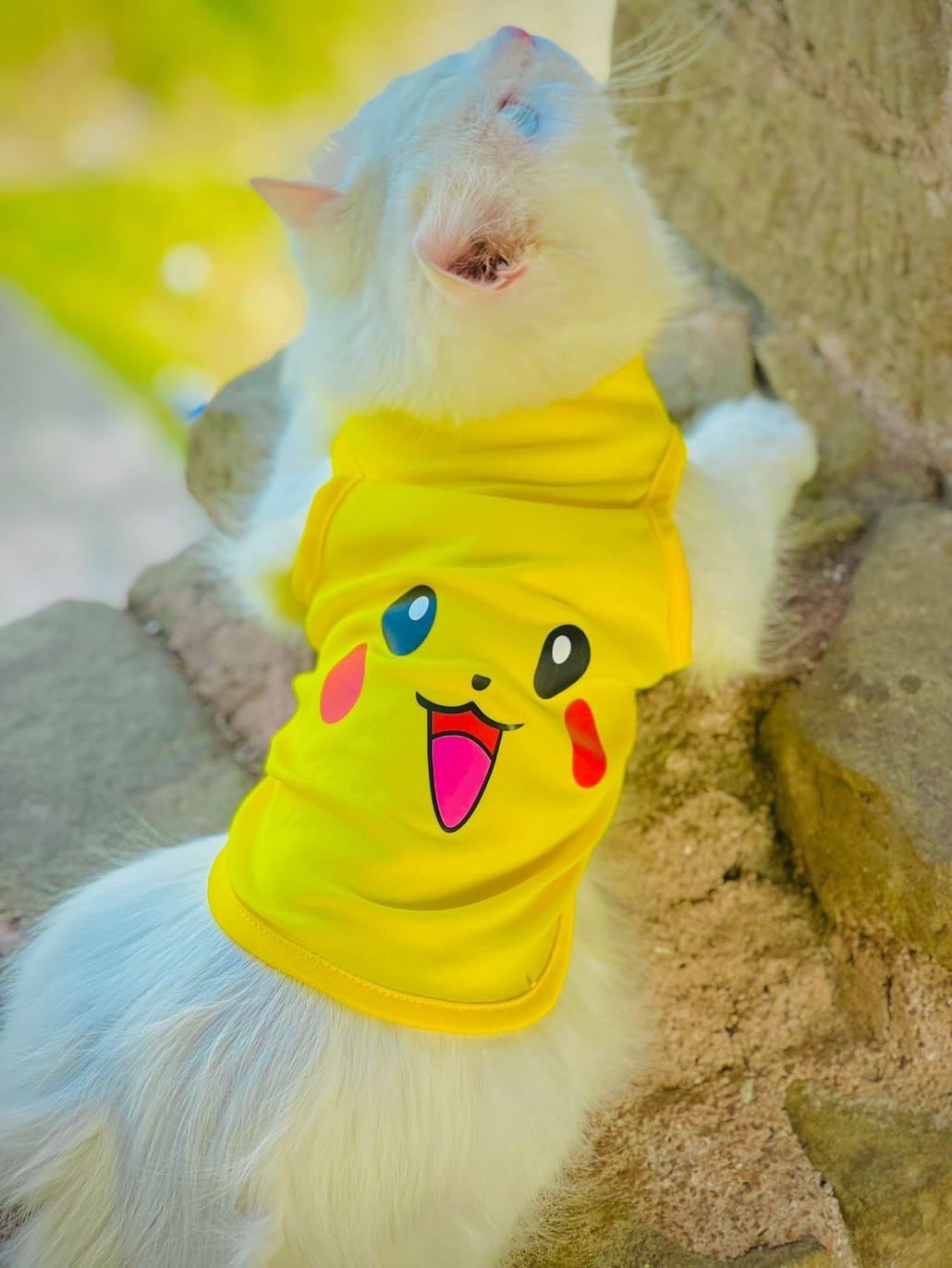 Pikachu Pet shirt - Summer