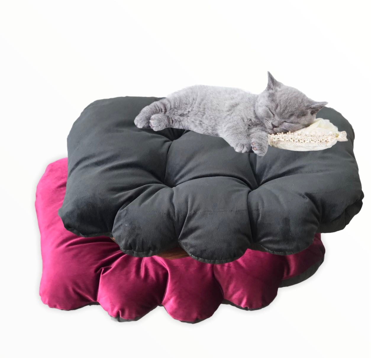 Paw pet cushion