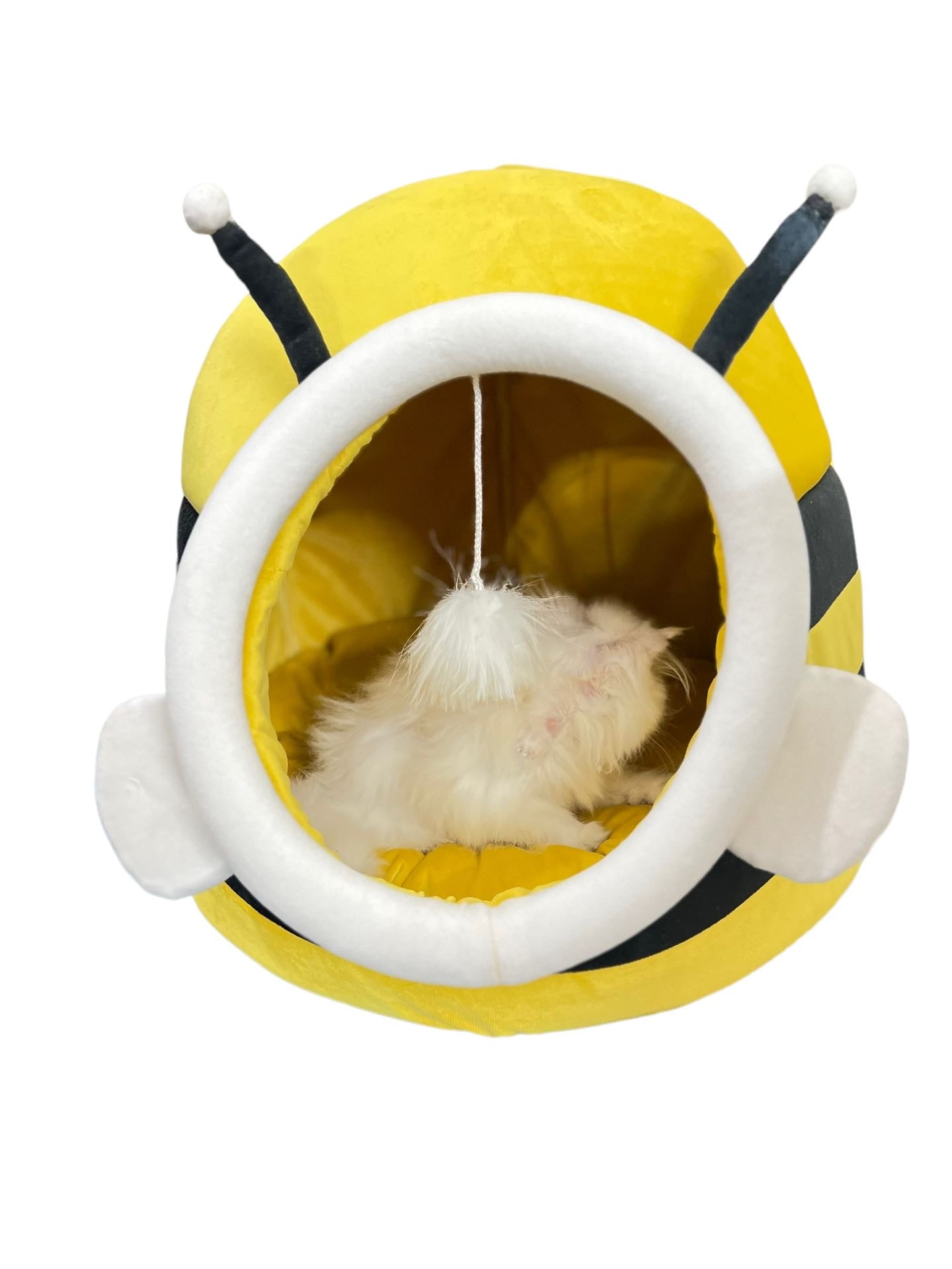 Bumble bee pet house -ROUND  🐝