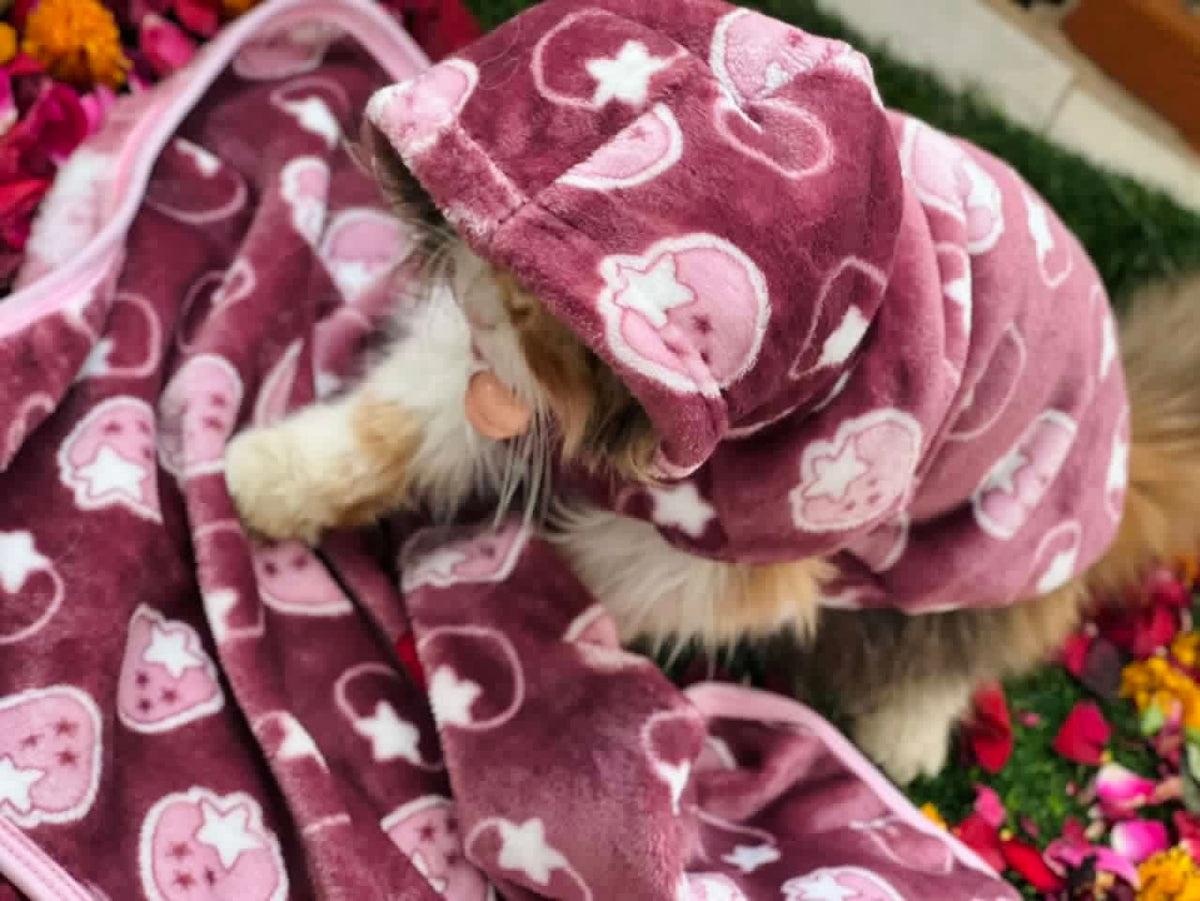 Pet Blanket - Starberry maroon 🍇