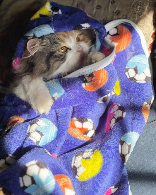 Pet Blanket - Blue football ⚽️