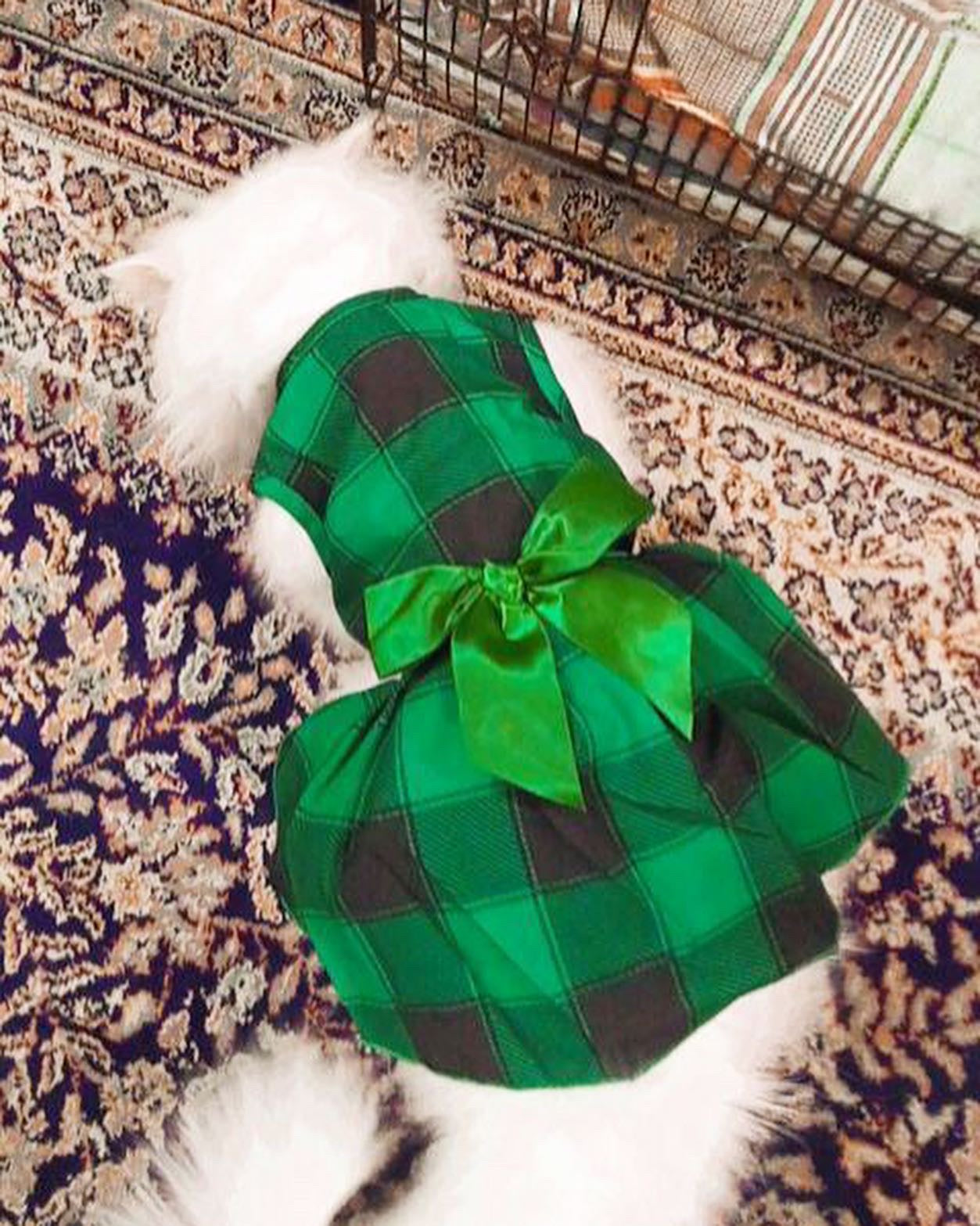Grid pet frock - green
