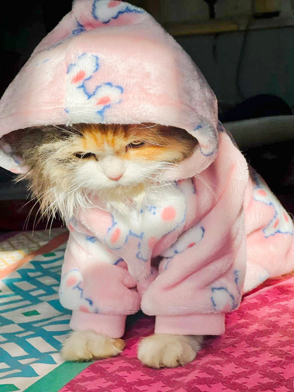 Snowball pet hoodie - pink 🐰💖