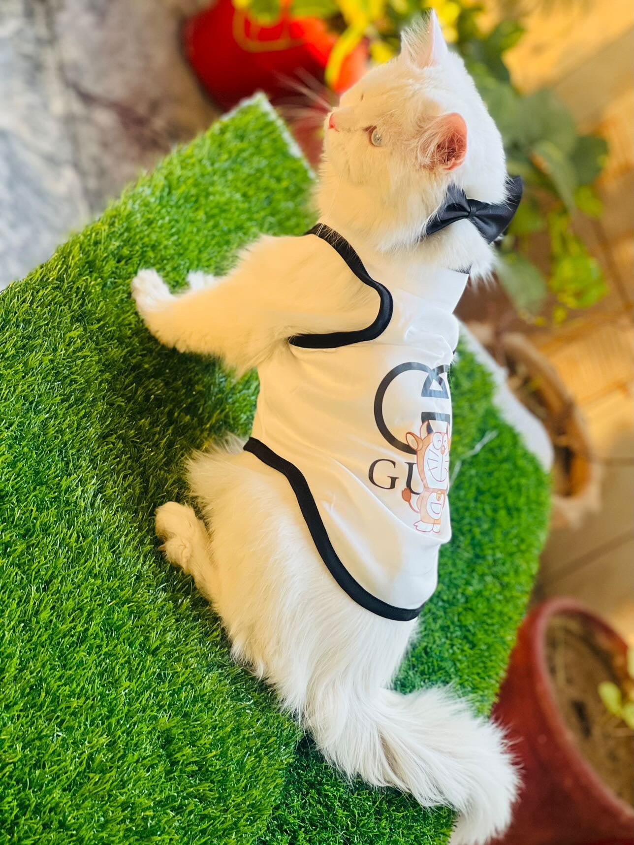 Gucci doraemon pet shirt