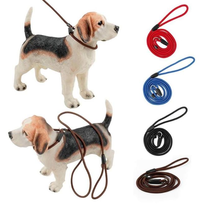 Adjustable Dog Training Leash + Collar.